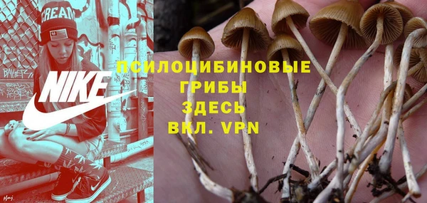 меф Карпинск