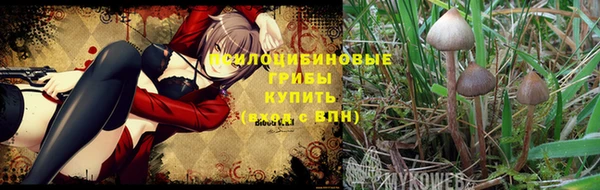 трава Касимов