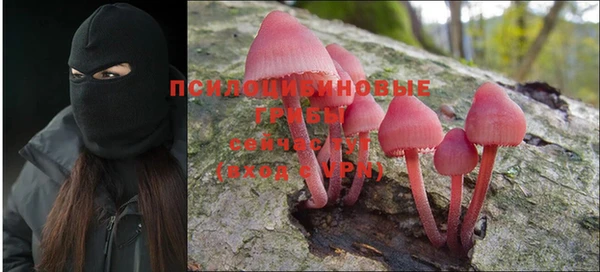 трава Касимов